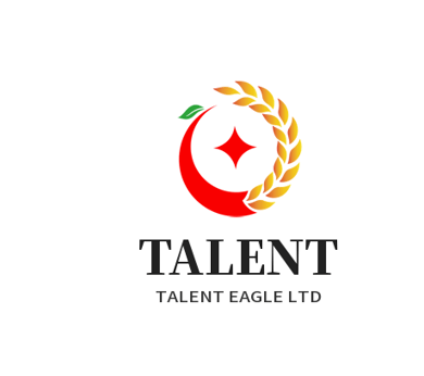 talenteagle.shop logo