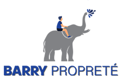 BARRY PROPRETE logo