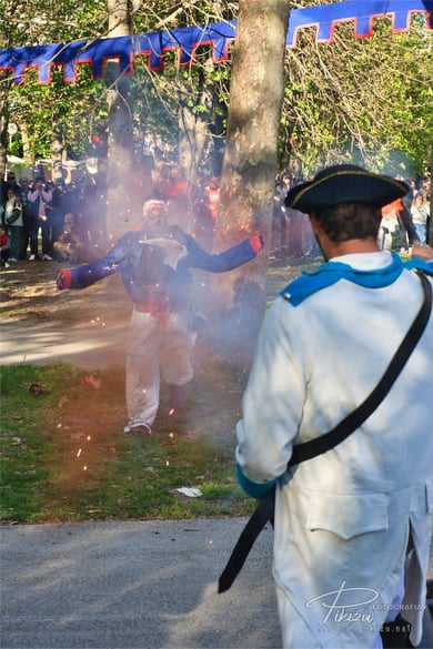 Mercado napoleónico 2025