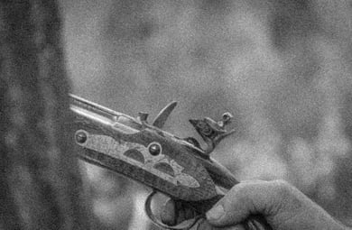 Mercado napoleónico 2025