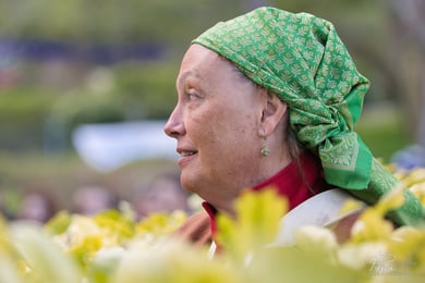 Mercado napoleónico 2025