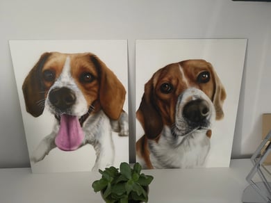 Comissão beagles pintura sobre papel Maria João Justo