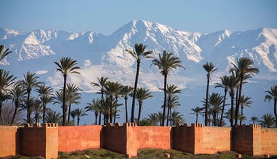 morocco a wall of palm trees and mountains in the background