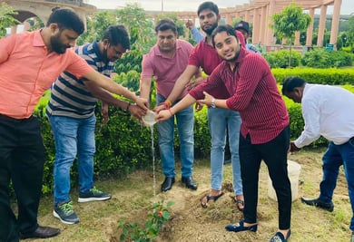 Best tree plantation agency in Noida