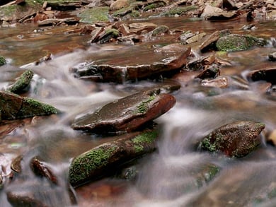 Beware Slippery Rocks