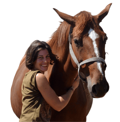 synergie avec le cheval, appliqué aux entreprises
