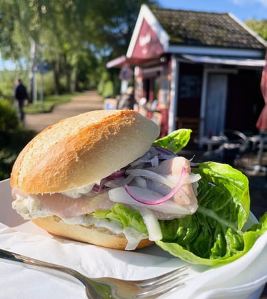 Frisches, belegtes Fischbrötchen, angerichtet mit knackigem Salat und Zwiebeln vor der Seeperle Plön