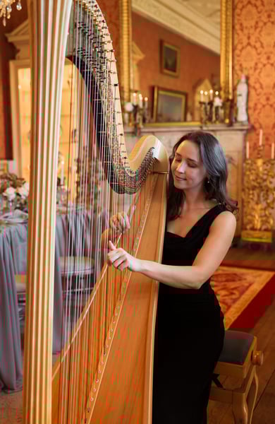 Elinor performing the harp