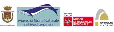 Vai al Museo di Storia Naturale del Mediterraneo