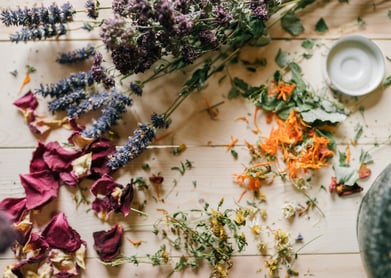 preparing herbal-infused hand salve