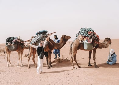 chigaga desert trekking -  Walking with Nomads in  the Moroccan Sahara chigaga desert trekking - trekking in morocco