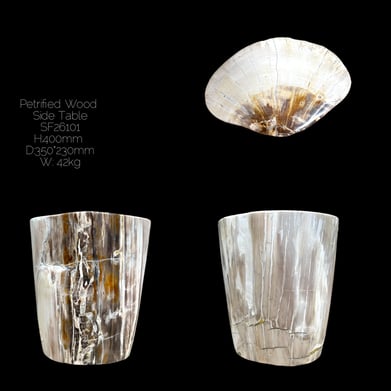 Fully Polished Petrified Wood Side Table