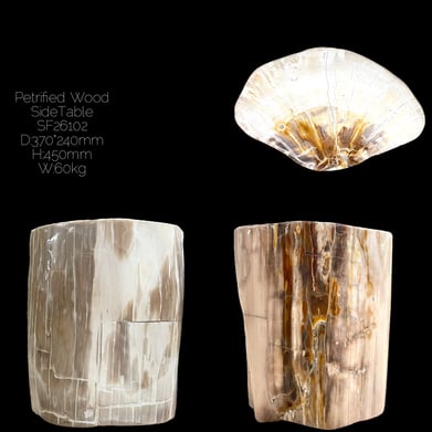 Pale Fully Polished Petrified Wood Side Table