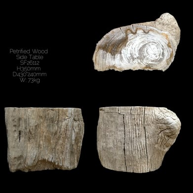 Petrified Wood side Table 