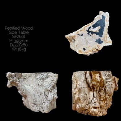 Top Polished Petrified Wood Side Table