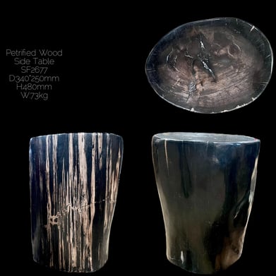 Fully Polished Petrified Wood End Table