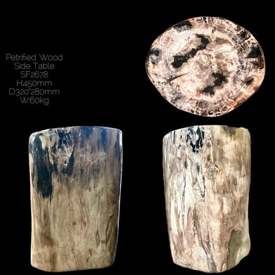 Fully polished fossil Wood Side Table