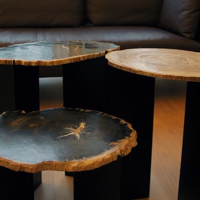 3 Petrified Wood Slices on metal bases as a coffee table