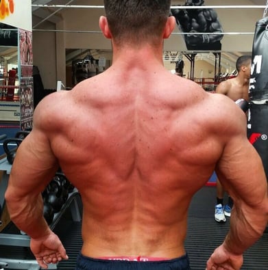 online nutrition