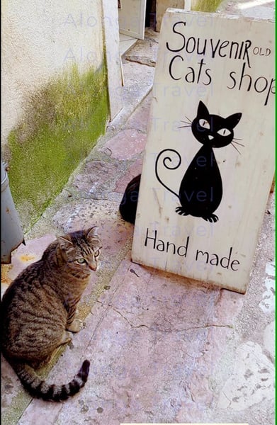 Souvenir Cats shop with a sign: 'hand made' & a pic of cat, with a real cat next to the sign