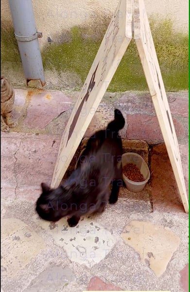 A black cat emerges from under a wooden sign: 'Cats shop. Hand made'