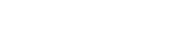 Pluton Logistics logo