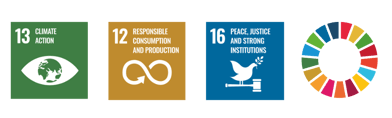 SDG 13, 12, 16