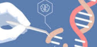 fasting and gene