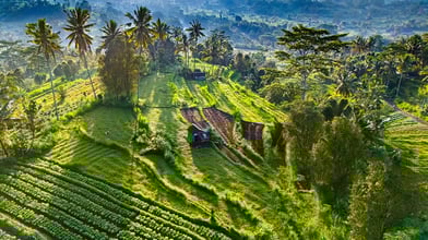 Bali: Stunning beaches and rich cultural heritage with affordable luxury villas
