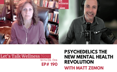 Matt Zemon interviewed on Let's Talk Wellness with Dr. Deb