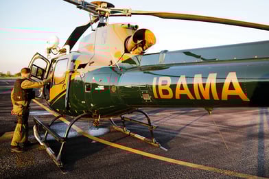 regularização com ibama
