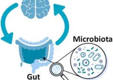 The Impact of Microbiome, Fasting, and Probiotics on Cancer (4)