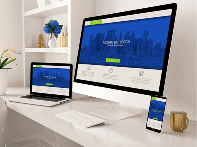 Web Development Agency, Business Website Development, Custom website development
