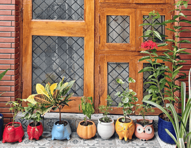 ZM Homestay Agra