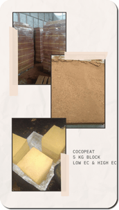 cocopeat for plant growth media