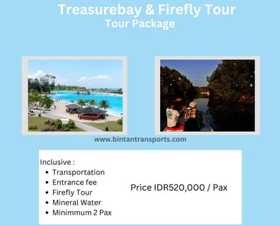 Treasure Bay & Fireflies