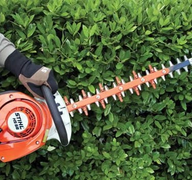 Jardinier Taille de haie Albi dans le Tarn 81
