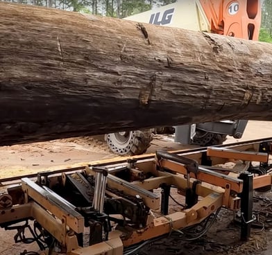 Massive sinker cypress log ready to be turned into outstanding lumber.