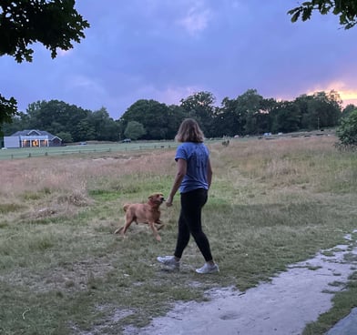 a woman walking a dog on a path
