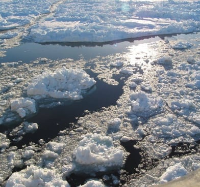 ANTARCTIQUE PAPANIN DOMINIQUE KOPP