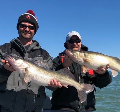 Lake Erie Walleye Fishing