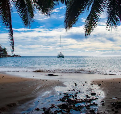 boat on sea and view from palm trees