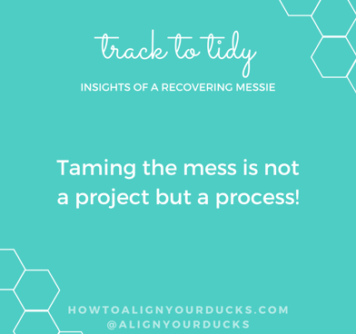 Taming the mess is not a project but a process!