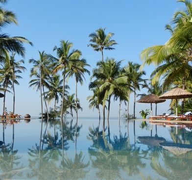 Kerala is known for its beautiful beaches along the Arabian Sea, offering a mix of tranquil palm-fringed sands and vibrant se