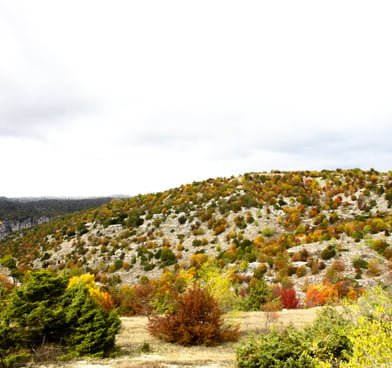 Autumn colors
