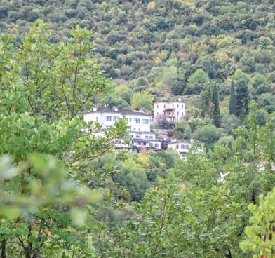 Traditional Houses in Zagori