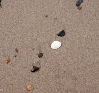 Sandy beach stones