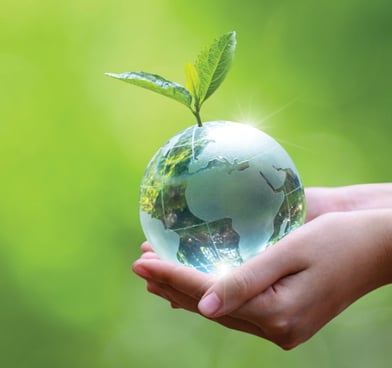 Picture of Globe in hand