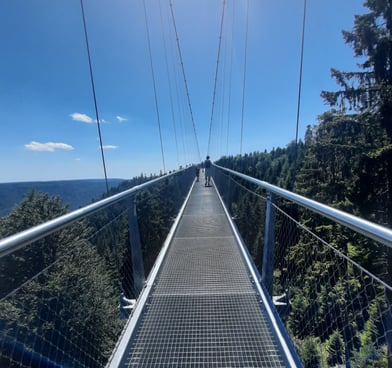 a person standing on a hanging bridge over a river