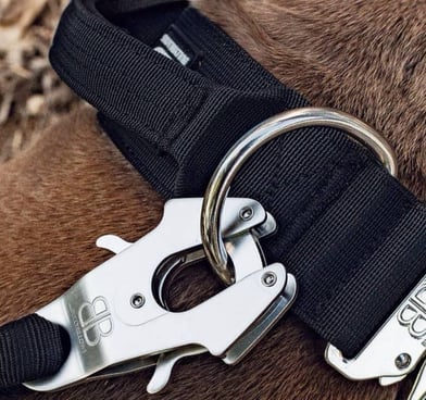 Ergonomiški BullyBilows pavadėliai. Itin aukštos kokybės.